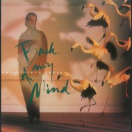 Christopher Cross - Back On My Mind