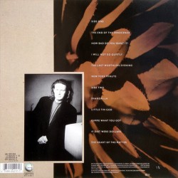 Don Henley - The End Of The Innocence Don Henley - The End Of The Innocence