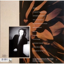 Don Henley - The End Of The Innocence