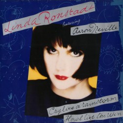 Linda Ronstadt - Cry Like A Rainstorm Howl Like The Wind