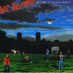 MR. Mister - Welcome To The World