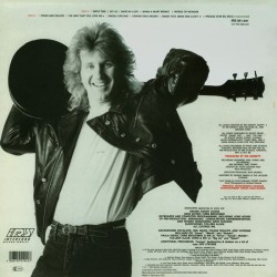 Rik Emmett - Absolutely Rik Emmett - Absolutely