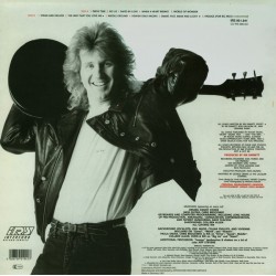 Rik Emmett - Absolutely Rik Emmett - Absolutely