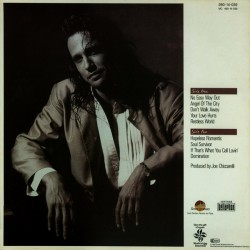 Robert Tepper - No Easy Way Out