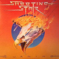 Shooting Star - Burning