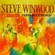 Steve Winwood - Talking Back To The Night