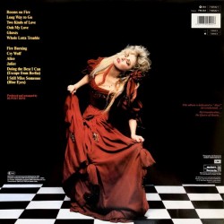 Stevie Nicks - The Other Side Of The Mirror Stevie Nicks - The Other Side Of The Mirror
