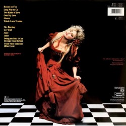 Stevie Nicks - The Other Side Of The Mirror