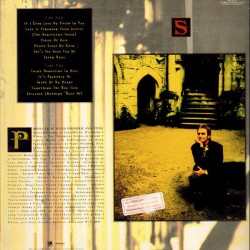 Sting - Ten Summoner's Tales Sting - Ten Summoner's Tales