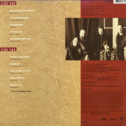 The Doobie Brothers - Brotherhood