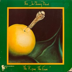 The Joe Chemay Band - The Riper The Finer