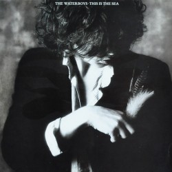 The Waterboys - This Is The Sea The Waterboys - This Is The Sea