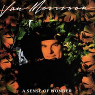 Van Morrison - A Sense Of Wonder