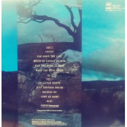 Vision Fields - Voices Vision Fields - Voices