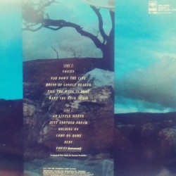 Vision Fields - Voices Vision Fields - Voices