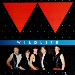 Wildlife - Wildlife Wildlife - Wildlife