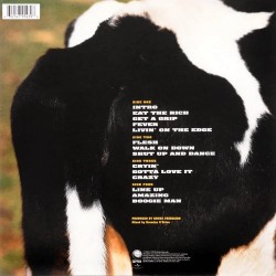 Aerosmith - Get A Grip Aerosmith - Get A Grip