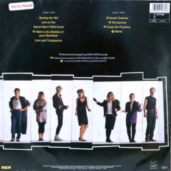 The Parachute Club - Small Victories