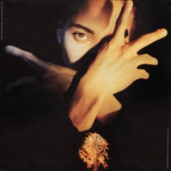 Terence Trent D'arby - Neither Fish Nor Flesh  Terence Trent D'arby - Neither Fish Nor Flesh