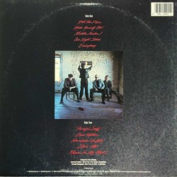 The Fabulous Thunderbirds - Powerful Stuff