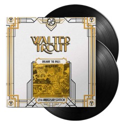 Walter Trout Band - Breaking The Rules