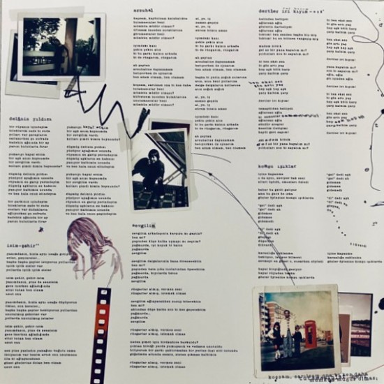 Vega - Delinin Yıldızı