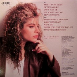 Taylor Dayne - Tell It To My Heart