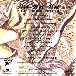 Wet Wet Wet : Picture This - CD