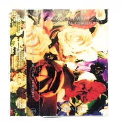 Dave Stewart And The Spiritual Cowboys : Honest > KASET Dave Stewart And The Spiritual Cowboys : Honest > KASET