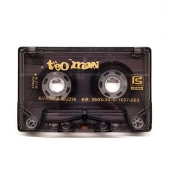 Teoman : Teo > KASET Teoman : Teo > KASET