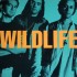 WILDLIFE BAND